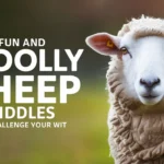 Fun and Woolly Sheep Riddles to Challenge Your Wit