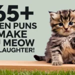 Kitten Puns to Make You Meow with Laughter!