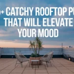 175+ Catchy Rooftop Puns That Will Elevate Your Mood