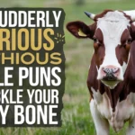 185+ Udderly Hilarious Cattle Puns to Tickle Your Funny Bone