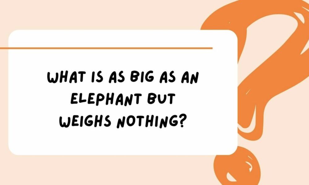 Animal Riddles for Kids