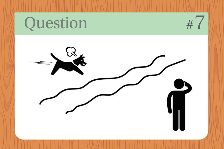 brain teasers for seniors