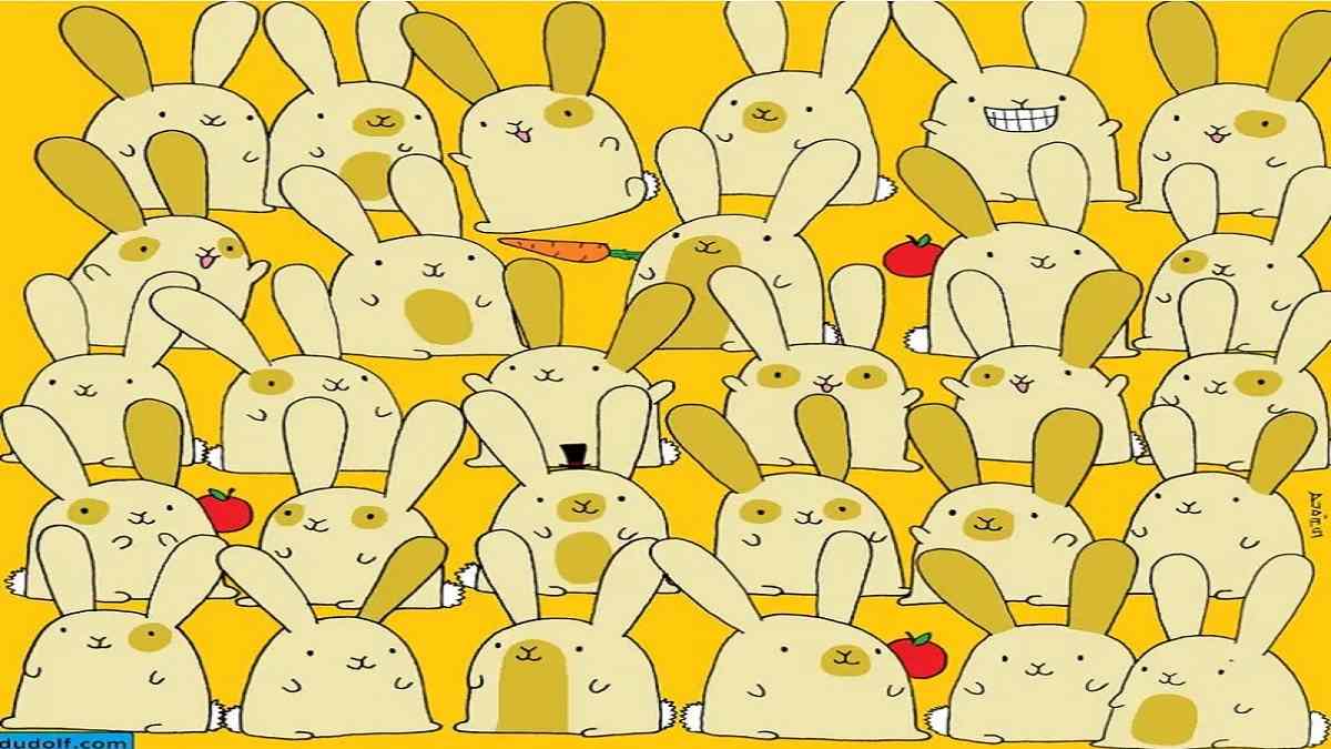 Whimsical Bunny Riddles & Hare-Raising Puzzles
