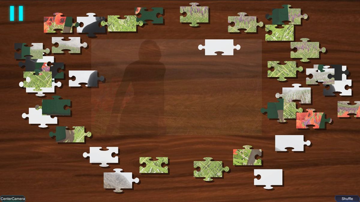 mirror image puzzles