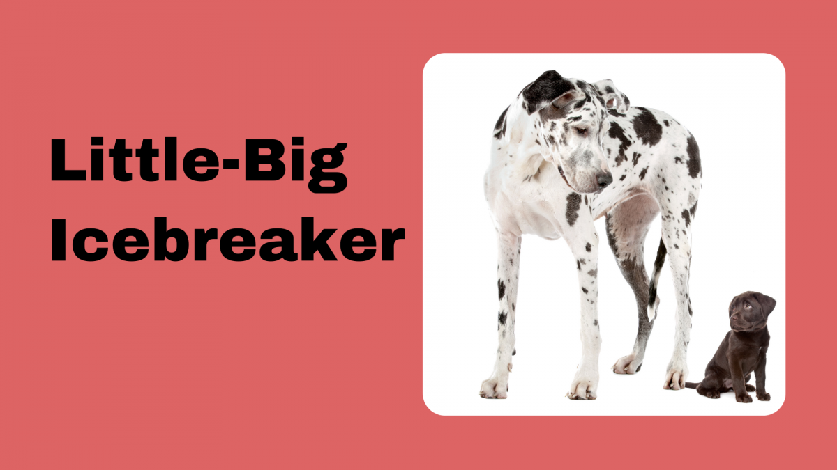icebreaker questions