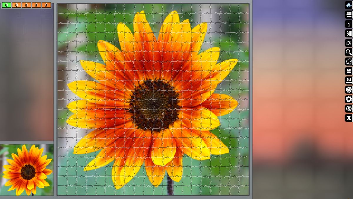 mirror image puzzles