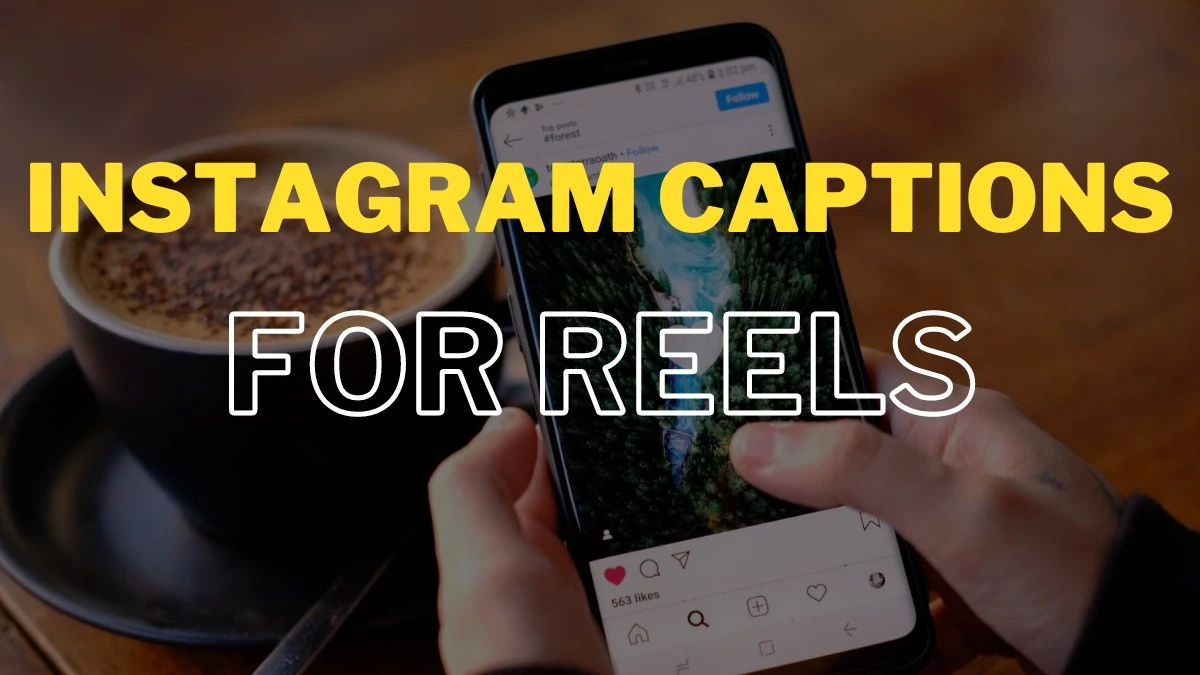 pun captions for instagram