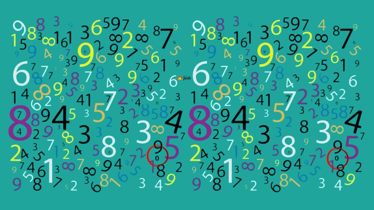 find the hidden number