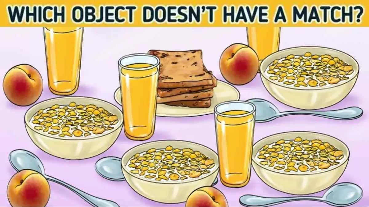guess the object zoomed in