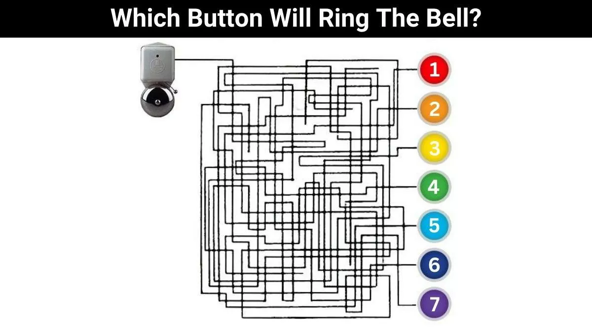 maze puzzles