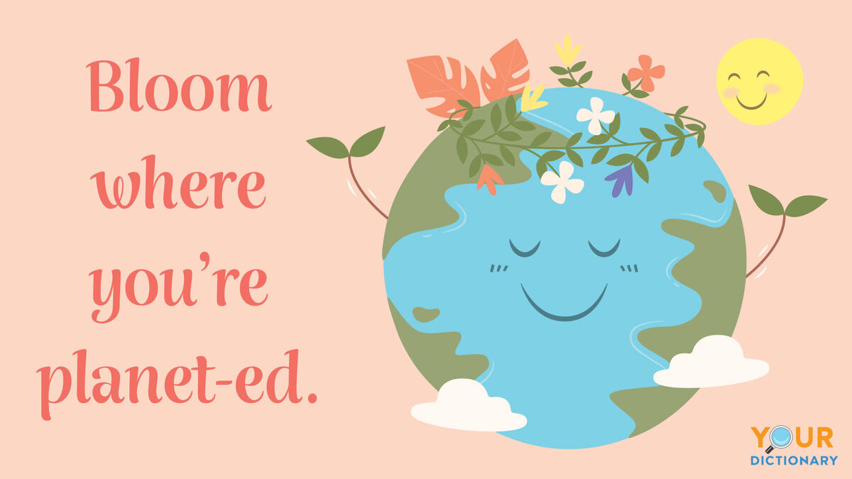 plant puns