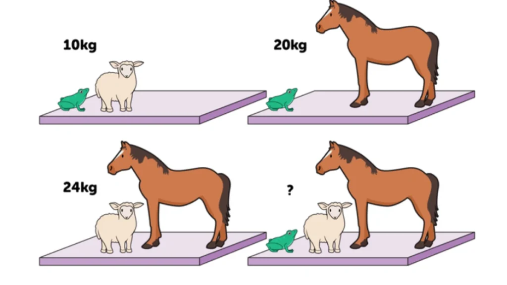 lateral thinking puzzles