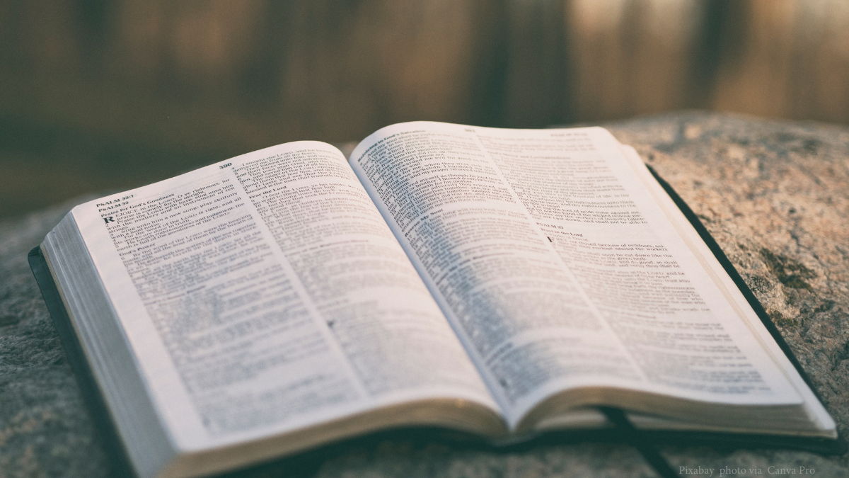 bible trivia questions