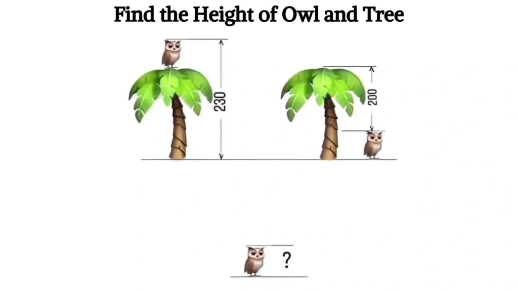 mind puzzle answers​