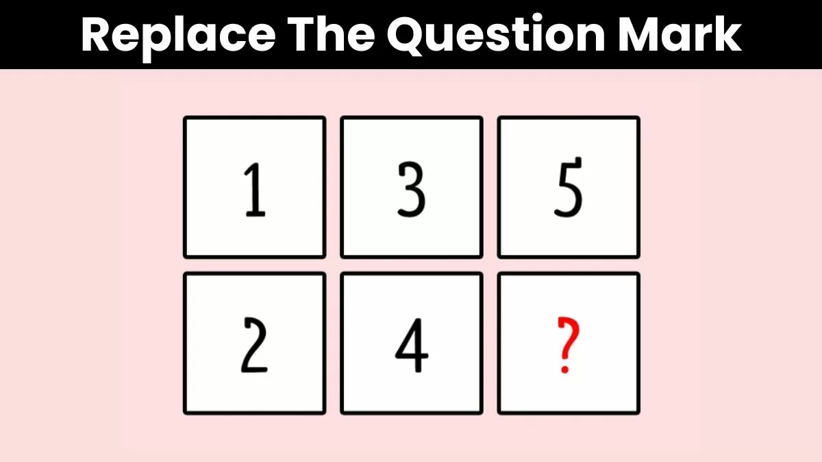 puzzle questions