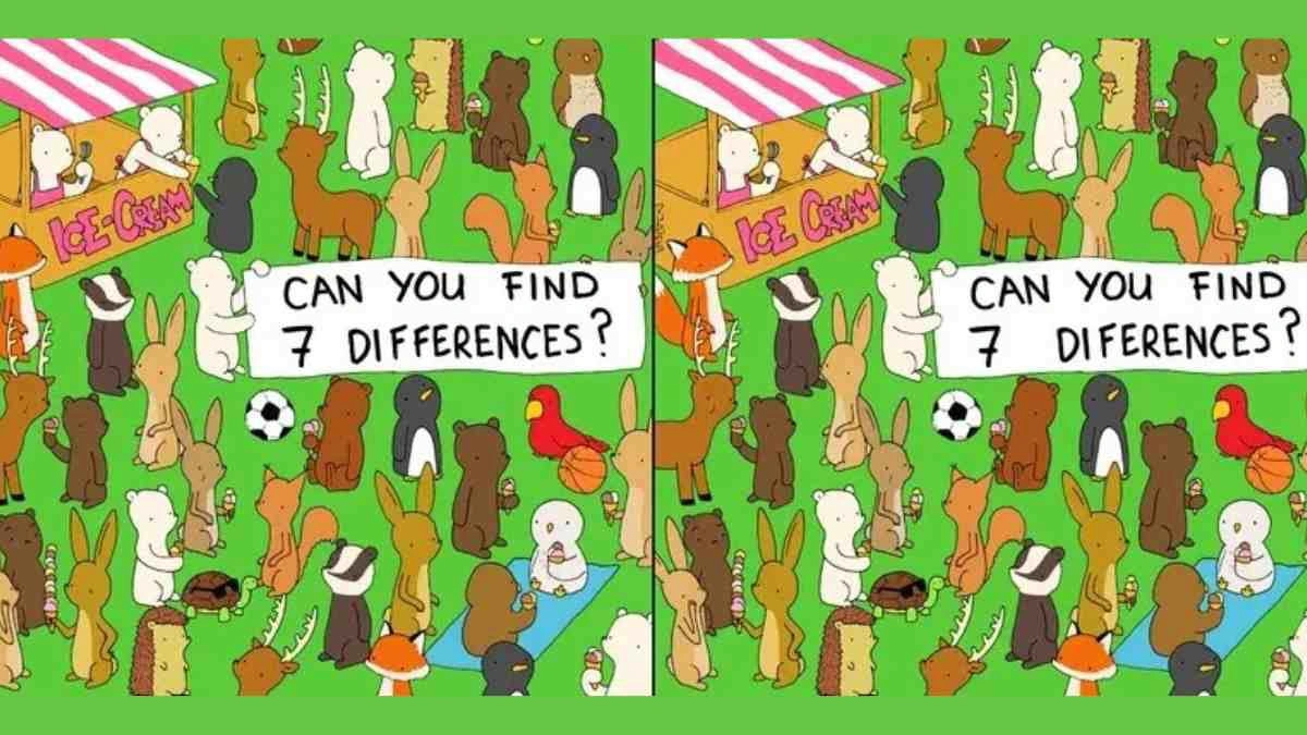 50 Category Questions Examples for Fun Quizzes and Games