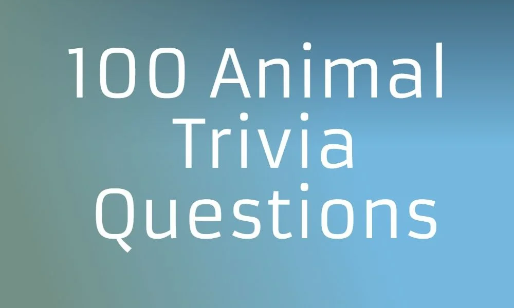 A blue gradient banner featuring large white text reading "100 Animal Trivia Questions" centered across the graphic.