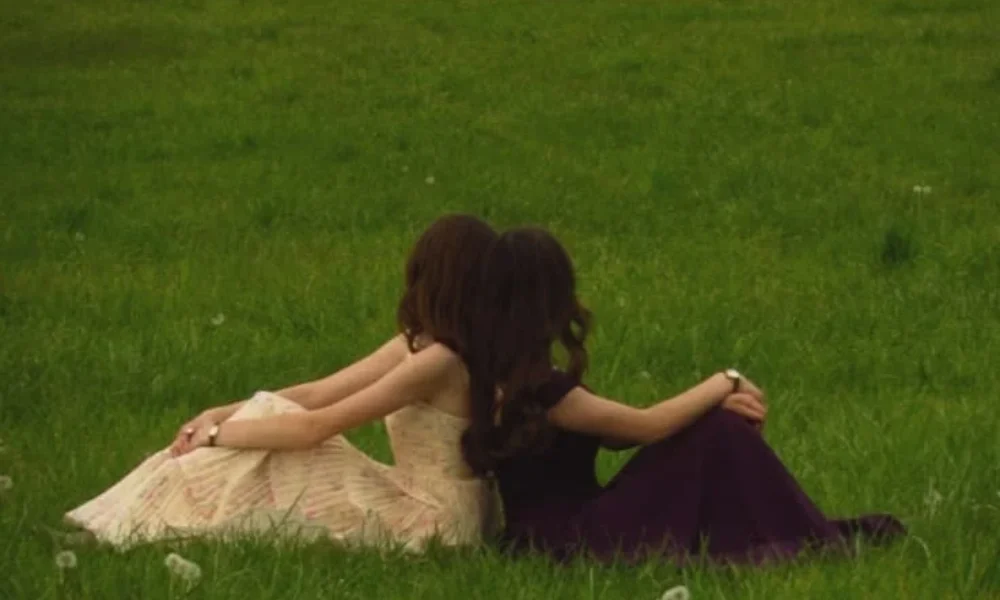 Aesthetic view of best friends sitting together in a grassy field for Cute Nicknames for Your Best Friend.