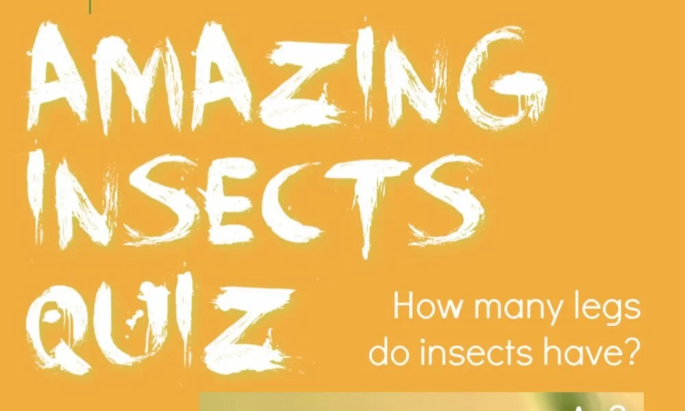 A yellow background image with bold white brush-style text reading "AMAZING INSECTS QUIZ" alongside a question asking "How many legs do insects have?".